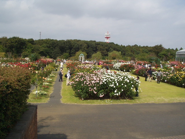 img0055.jpg