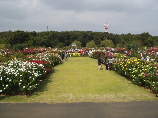 img0056.jpg