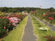 img0004.jpg