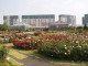 img0008.jpg