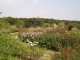 img0009.jpg