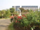 img0011.jpg