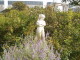 img0012.jpg