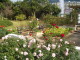 img0018.jpg