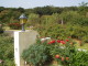 img0020.jpg
