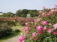 img0024.jpg