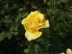img0029.jpg