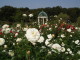 img0030.jpg