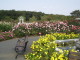 img0035.jpg