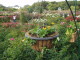 img0042.jpg