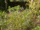 img0045.jpg