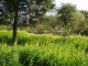 img0046.jpg