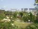 img0048.jpg