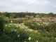 img0054.jpg