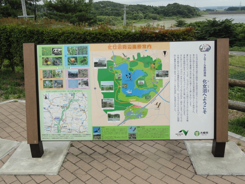 img0005.jpg