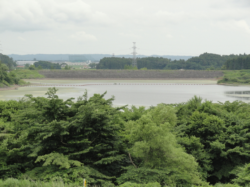 img0007.jpg