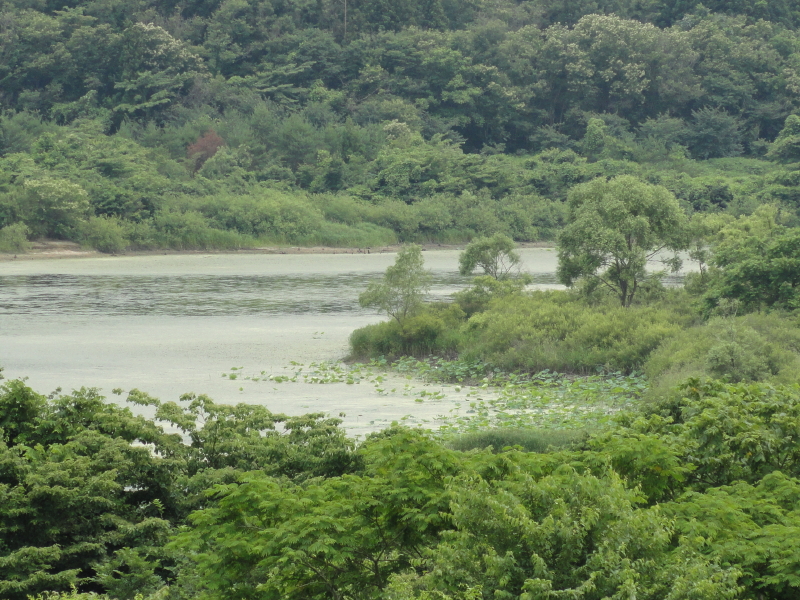 img0012.jpg