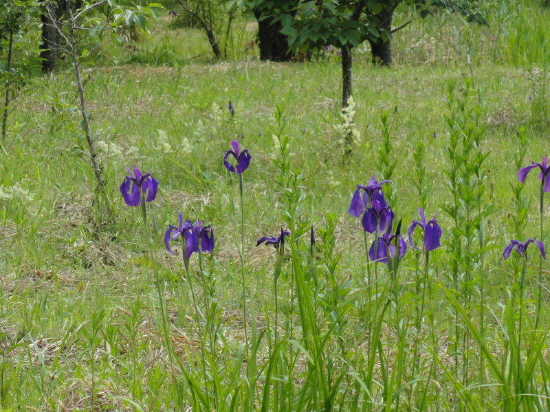 img0016.jpg