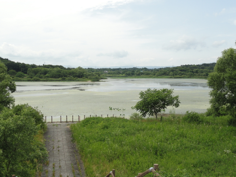 img0023.jpg