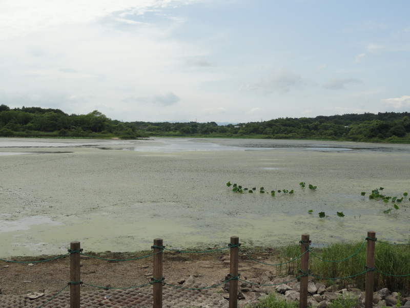 img0024.jpg