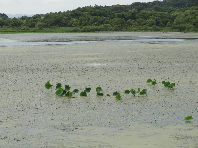 img0026.jpg