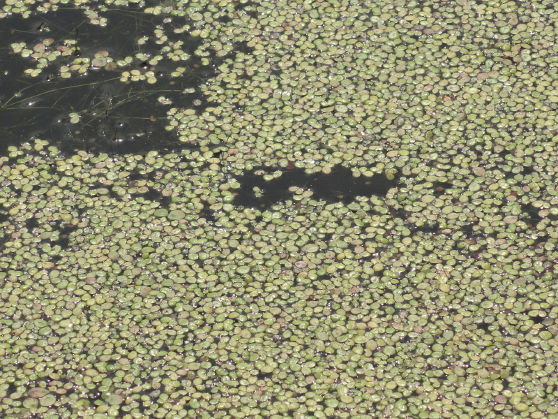 img0027.jpg