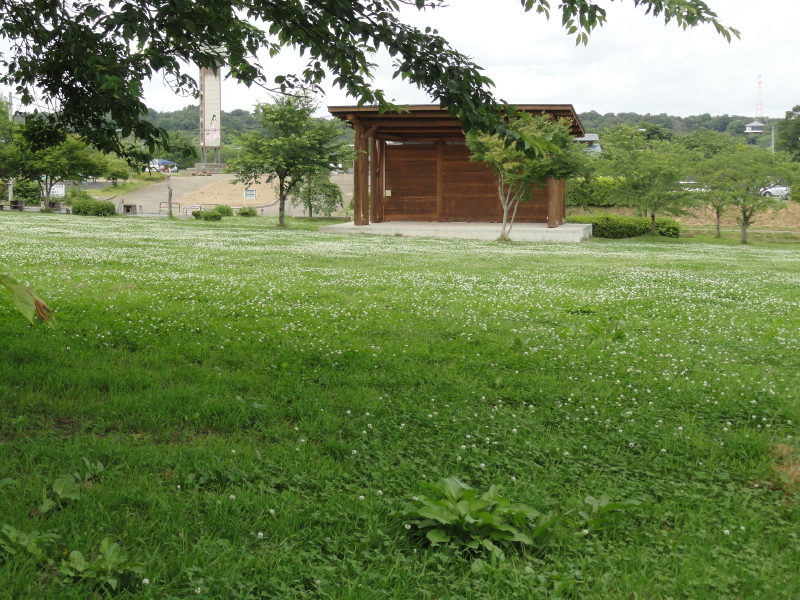 img0077.jpg
