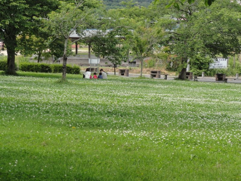 img0078.jpg