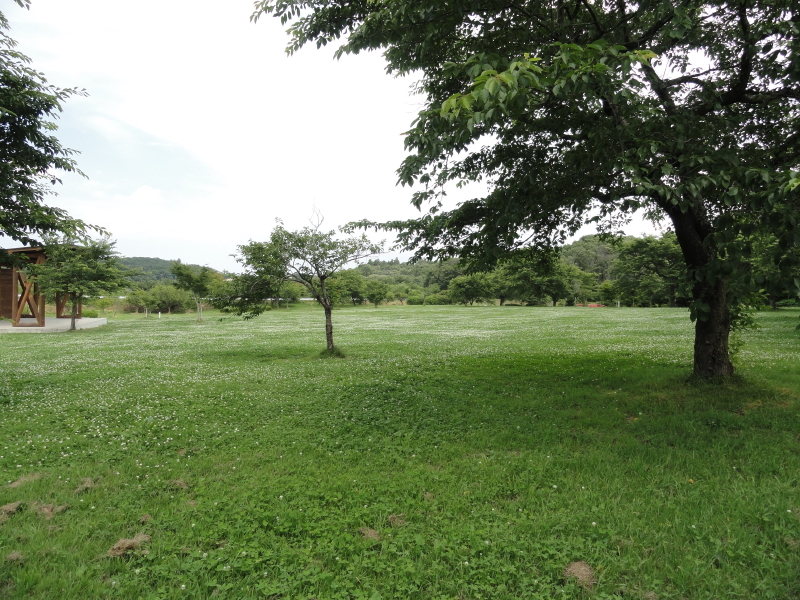 img0079.jpg