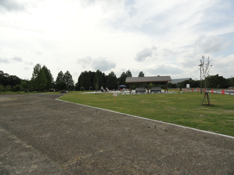 img0081.jpg