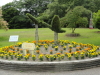 img0002.jpg