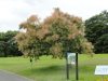 img0003.jpg