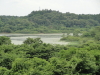 img0009.jpg