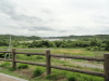 img0010.jpg