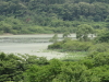 img0012.jpg