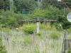 img0019.jpg