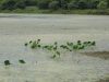 img0025.jpg
