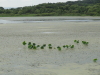 img0026.jpg
