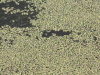 img0027.jpg