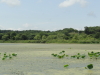 img0028.jpg