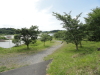 img0030.jpg