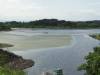 img0034.jpg