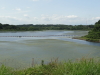 img0045.jpg