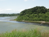 img0046.jpg