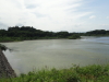 img0047.jpg