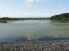 img0049.jpg