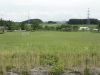 img0050.jpg