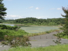 img0059.jpg