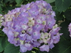 img0060.jpg