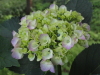 img0064.jpg